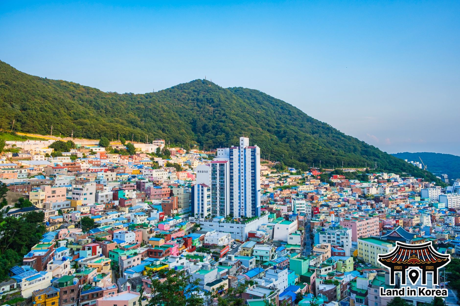 DMZ and JSA tours - What First-Timers Actually Need to Know