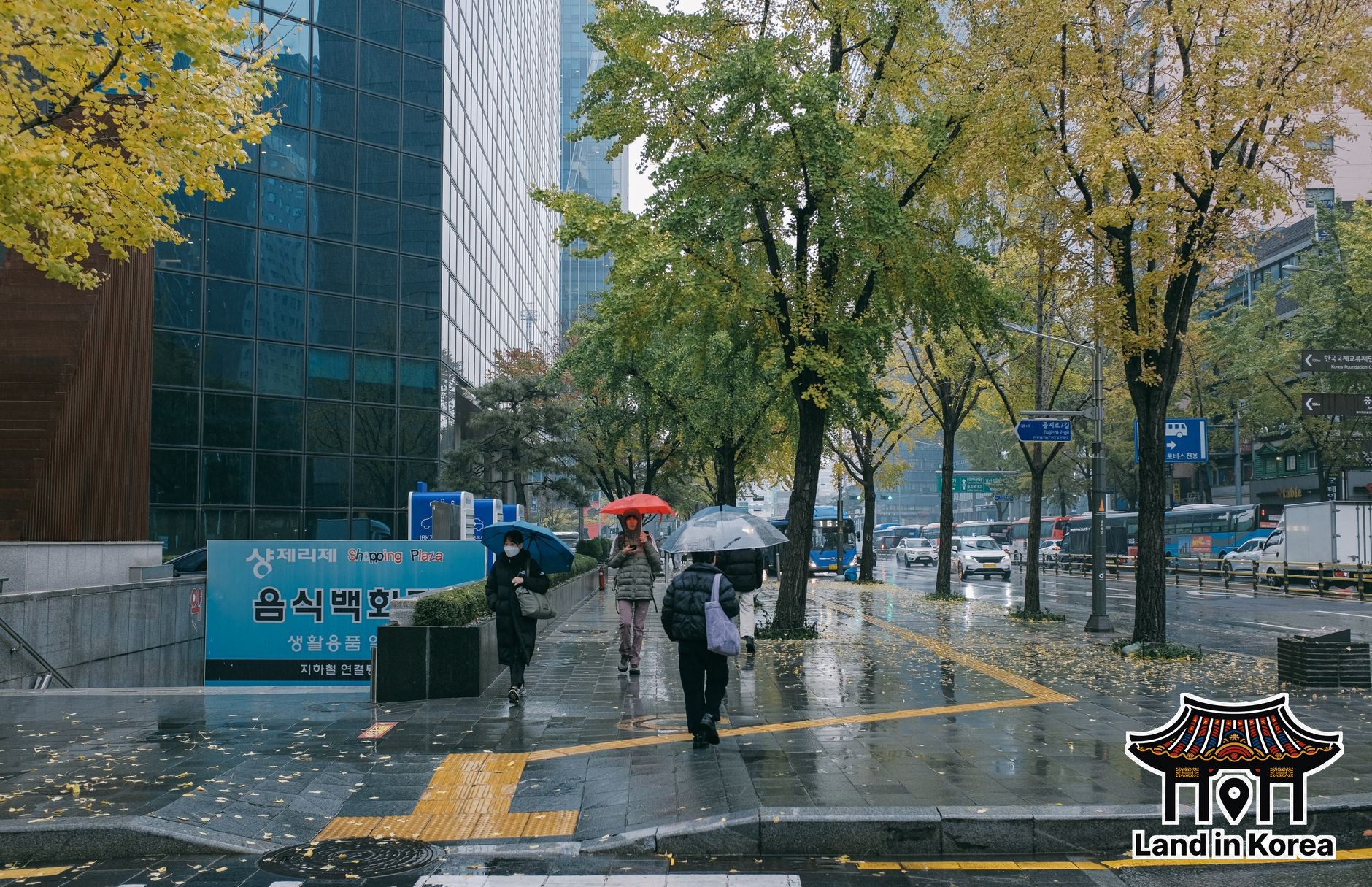 Korea Seasonal Packing and Weather Tips: Full Guide
